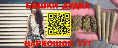 мдпв Обь