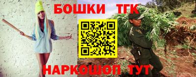 мдпв Обь