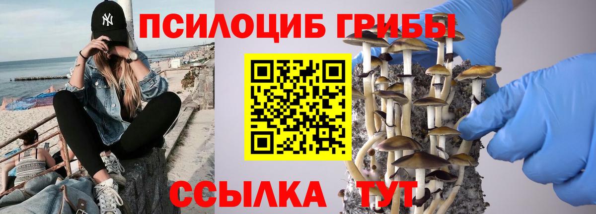 Алушта  Галлюциногенные грибы GOLDEN TEACHER  Вход с VPN 
